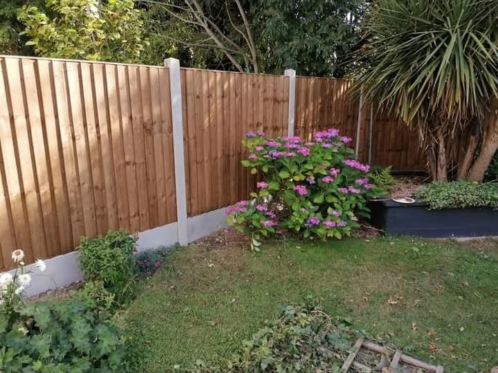 Flowerbed of pink hydrangeas planted along a garden boundary in Essex